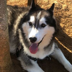 Meet your Posher, Juliana